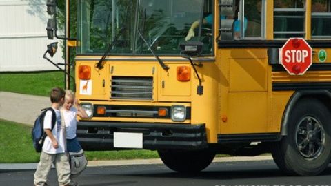How Much Does It Cost To Get A Cdl >> CDL Requirements - Job Description and Duties How Much Does It Cost To Get A Cdl >> CDL Requirements - Job Description and Duties