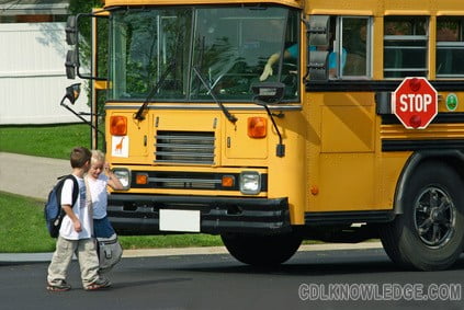 school bus driver